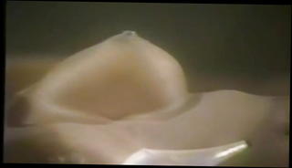 Video 1508278701: jerry butler, steve drake, taylor wane, ron jeremy, dominique simone, domonique simone, alexandra quinn, retro threesome, vintage retro, vintage pussy eating, vintage straight, retro usa, american retro
