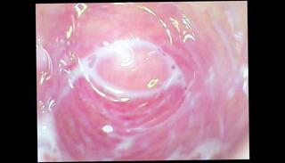 Video 1624107813: solo dildo orgasm, solo homemade dildo, solo amateur dildoing, solo female dildo, big dildo solo, dildo inside pussy, dildos juicy pussy, tight pussy dildo, deep dildoing pussies, dildoing vagina, long dildo inside, dildo camera