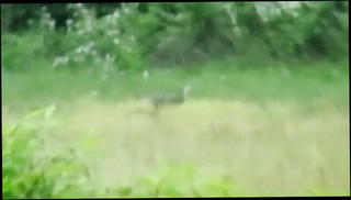 Video 1568775461: solo cock masturbation cum, dick solo masturbating cumming, big cock solo cum, solo amateur cum, gay cum solo, homemade masturbation solo, cute solo cum, solo masturbation tattoos, cock play cum, big young cock cums, cum naked, cum adorable