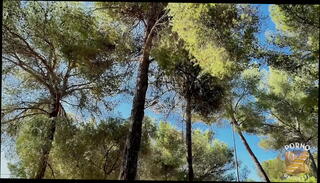 Video 1654379465: sexy milf slut, natural tits amateur milf, ass milf slut, slim sexy milf, natural tits milf brunette, sexy milf beauty, lesbian femmes, lesbian bites