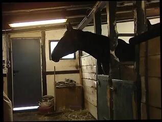 Video 1664146171: cougar lesbian pussy licked, milf pussy licking lesbian, milf lesbian eats pussy, lesbian milf girl, mature lesbian cougars, naughty lesbian milf, brunette milf cougar, german lesbian milfs, pussy licking lesbian shaving, lesbian pussy licking outdoors, lesbian licking twat, lesbian snatch licking, lesbian cunt licking, lesbian chicks licking, lesbian straight girl, lesbian tongue pussy, lesbian cuties lick, lesbian vagina, hot pussy