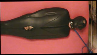 Video 1570865861: latex bondage slave, bdsm bondage slave, bdsm slave torture, bondage slave master, bondage gay slave, slave cock torture, bondage slave training, cbt slave, cbt massage, cock torture handjob, cock massage masturbation, cbt jerking, latex couple, slaves big cock, bondage hd, hungarian couple