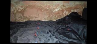 Video 1657482541: solo cumshot bbc masturbating, cock bbc masturbation solo, bbc solo cum, solo gay boy masturbates, solo fuck masturbating cumshot, amateur homemade solo masturbation, solo gay sex boy, bbc black cock fuck, bbc daddy fucks, solo man masturbation cumshot, fuck bbc big cock, pornstar fucks bbc, african bbc fuck, old men masturbating solo, handsome boy solo, solo masturbation hd, fucks sexual, guy fucks bed, sexual pleasure, fuck mate