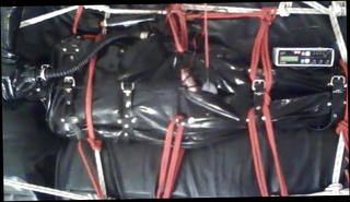 Video 1546519001: bondage sex bdsm, bdsm gay bondage, bondage torture, bondage skinny, cock ball torture, bondage sex toys, ass torture, arse