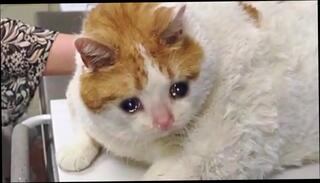 Video 1009715295: hardcore interracial gay, interracial amateur gay, gay parte