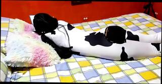 Video 1655113741: amateur milf pov blowjob, amateur latin milf pov, big ass milf pov, pov milf taboo, tattooed milf pov, milf pov hd, pov straight, girl friend