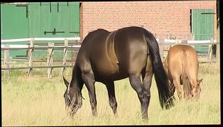 Video 1588847391: pantyhose pussy fingering, retro pantyhose, teen fingering pussy masturbation, teen girl fingering pussy, sexy girl fingering pussy, amateur teen fingering pussy, sexy brunette teen fingering, hot girl fingers pussy, big boobs girl fingering, teen fingering orgasm, big tits girl fingering, retro amateur cock, teen fingering outdoors, european girl fingers, german teen fingering, hot pantyhose sex, teen fingering hd, fingering straight, giant cock masturbation, biggest tits boobs