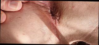 Video 1657378011: solo gay uncut cock, solo uncut cock masturbating, uncut cum close solo, solo closeup cum, grandpa uncut cock, cumshot masturbation gay solo, ass hole masturbates solo, amateur closeup cumshot, butt hole closeup, old grandpa close cum, solo masturbation hd