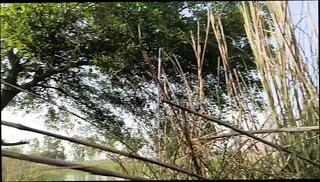 Video 1665825561: indian gay cum swallow, cock swallows big cum, cum swallowing porn, cock swallowing cumshot, friend swallows cum, cock hd porn, short cock, cum job