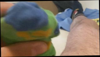 Video 1568942081: handjob wank, masturbation wank, gay wanking, socks wank, wank hd