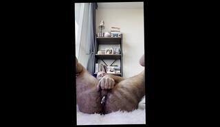 Video 1657106823: fetish hairy, gay anal plug, amateur anal plug, anal plug insertion, dude anal