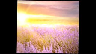 Video 1603466395: amateur plays, amateur lingerie