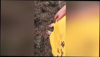 Video 1581008763: pissing peeing fetish, solo pee fetish, teen solo peeing, amateur piss fetish, pee pissing outdoor, fetish asian pees, solo male pee, teen peeing outside, japanese amateur pee, teen public pee, 60fps teen