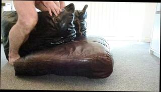 Video 1609010551: gay masturbation cum, masturbation cum fuck, leather cum, humping cum, couch cum, cum hd