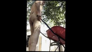 Video 1609445063: solo boy masturbation, amateur solo boy, boy solo male, young boy solo, solo naked, solo man masturbation, alone solo, old man solo, latino boy masturbation, boy masturbating outdoor, boy masturbation hot, 60fps amateur