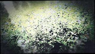 Video 1653496491: neighbor sister, ass big cock anal, amateur anal big cock, loves big cock anal, big cock sweet ass, man big cock anal, mature big ass anal, straight man ass, anal young ass, old ass anal, cock straight men, amateur outdoor anal, anal love story, secret cock, big cock neighbour, big cock hd