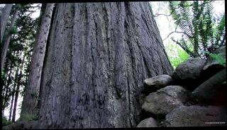 Video 1656212761: solo twink wanking, solo twink boys, dick twink solo, twink solo cumshot, solo twink masturbation, twink solo gay, young twink solo, twink boy gay sexy, twink boy gay porn, twink gay porn men, solo man masturbation cumshot, solo gay man outdoor, sexy tattooed twink, solo masturbation hd, sexy boy cock, sexy boys love, boy stroking cock