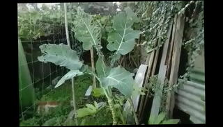 Video 1093293685: nude beach girls, big boobs beautiful girl, big natural tits nude, big boobs lady, perfect boobs girl