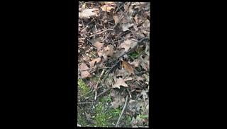 Video 1630297993: pissing peeing fetish, solo pee fetish, solo male piss, pov pee, amateur public piss