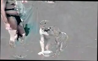 Video 1624076661: vintage gay twink, gay twink bdsm, twink piss gay, pissing bear gay
