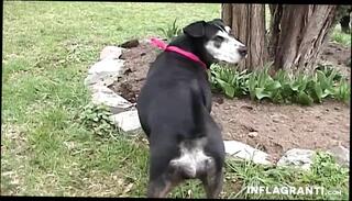 Video 1666875731: hardcore blowjob doggy cumshot, doggy style fucking sucking, babe doggy style fucked, doggy style cowgirl fucking, blonde babe fucking doggy, throat doggy style fucking, deep throat doggy fuck, amateur babe doggy styled, pornstar fucked doggy style, tits babe doggy styled, big tits babe doggy, european babe doggy styled, babe doggy styled outdoors, doggy style straight, curvy doggy style, nailed doggy style, doggy style hd