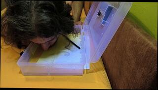 Video 1657250343: solo piss masturbation, fetish solo masturbation, pissing fetish drinks, solo male piss, piss licking cum, solo male masturbation cumshot, amateur solo male masturbation, piss drinking cum eating, face solo masturbation, urinal, semen