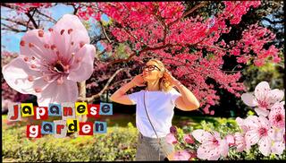 Video 1653326803: cherry blossoms, stepsister deep throats, stepsister pink pussy, facesitting deep throating, stepsister porn, stepsister girl, stepsister cumshot, stepsister sex, stepsister blowjob, amateur stepsister, stepsister behind, stepsister fantasy, stepsister rough, asian stepsister, blonde stepsister, porn step sex, deeper throat