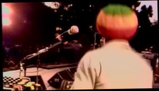 Video 1443059875: public hardcore