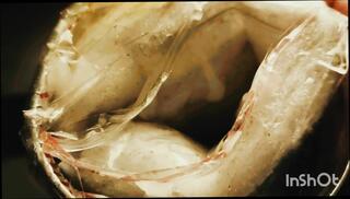 Video 1656413581: sissy boy fucks bbc, cock bbc masturbation solo, solo male masturbation pov, pov bbc cum, sucks bbc pov, dick bbc pov, pov bbc anal, gay bbc sissy, bbc breeds sissy, sissy solo huge, pov black solo, asian sissy solo, toys sissy boy anal, homemade pov anal fuck, masturbation indian boy solo, big cock pov homemade, masturbation solo vibrator, cum face pov, mouth pov cummed, solo men masturbating, fuck sissy man, pov penis, sex pov hd