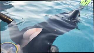 Video 1647477871: milf latex fetish, sexy latex catsuit, fetish milf big ass, big ass milf solo, milf solo big tit, milf amateur fetish, tight latex catsuit, watersports fetish, brunette milf solo, milf solo hd, straight amateur solo, sexy milf outdoor, underwater fetish, latex hand, milf pool