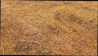 Video 1659075541: sister step brother sexy, brother step sister sex, brother anal step sister, brother fucks step sister, sister step brother desi, indian brother step sister, sister step brother family, hot step brother sister, big step brother sister, aunty sister, aunty girl sex indian, ass indian sexy aunty, fucking wife step sister, tits step sister fucked, bisexual wife fucks, bisexual pornstars fucking, aunty desi sex hindi, beautiful indian sexy aunty, desi old aunty sex, natural tits step sister, straight step brother, indian desi hottest aunty, aunty indian 18 year, hot step sister hd, porn hot sexy girl, clit fucks girl, indian web sex