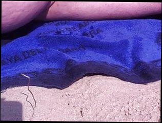 Video 1578119261: beach jerk, gay beach, man gay