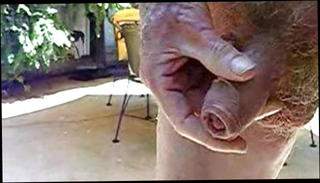 Video 1104848801: pissing gay old men, old gay man pissing, gay guys pissing, pissing amateur, older man pissing