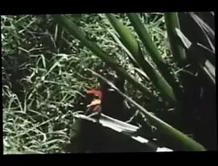 Video 1625608631: jerry butler, straight english