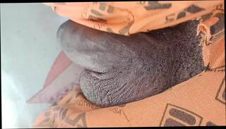 Video 1602615601: hairy daddy bareback, gay bbc sissy, amateur sissy bbc, skinny bareback gay, skinny hairy teen, hairy ass bareback, bbc breeds sissy, hairy bear bareback, black daddy cock bareback, daddys big cock bareback, big hairy gay men, gay man sissy, teen hd skinny, aunt, married sissy, skinny neighbor