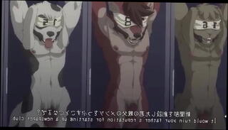 Video 1519128305: furry hentai animation, furry porn animation, furry sex animation, hentai anime anal, hentai anime blowjob, furry gay animation, anime masturbating, anime amateur, gay porn gym