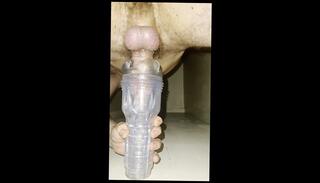 Video 1657485793: solo masturbation fleshlight, solo cum fleshlight, fleshlight pump, solo guy fleshlight, solo male fleshlight, solo cock masturbation cum, dick solo masturbating cumming, fleshlight masturbation moaning, cock penis pumping, solo big cock masturbation, amateur solo male masturbation, solo masturbation toy, curved cock cum, white cock explodes