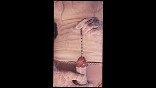 Video 1651180673: hentai femboy trans ladyboy, asian hentai trans femboy, amateur femboy solo, solo trans babe, solo babe toys
