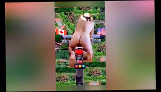 Video 1628998105: shemale amateur homemade, amateur shemale ass, perfect shemale ass, transsexual shemale
