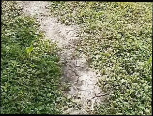 Video 1618870111: brother step sister sex, teen step brother sister, brother anal step sister, brother sister mom, indian brother step sister, indian couple sex aunty, desi aunty anal sex, sex aunty girls, amateur teen step sister, desi old aunty sex, indian aunty outdoor sex, wife desi aunty, young aunty sex, mom step aunt, indian aunty cumshot, asian teen step sister, straight step brother, desi aunty cheating, 18 years step sister, son step sister, brutal anal sex, door amateur girls