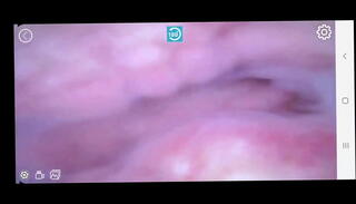 Video 1621615665: pussy big clit licking, women licking pussies, pussy big lips clit, big clit tight pussy, inside pussy, clitoris