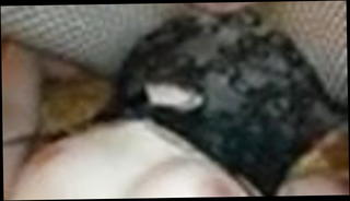 Video 1221504701: amatuer straight