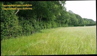 Video 1571029003: blowjob doggy cumshot milf, amateur milf doggy style, british milf doggy styled, hardcore blowjob doggy cumshot, doggy style sex cum, amateur babe doggy styled, doggy style public sex, doggy style big cumshot, doggy style sex outdoors, doggy style outside, milf dogging, milf load, swallows big load, pussy cream