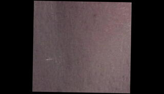 Video 1596575785: pink blowjob