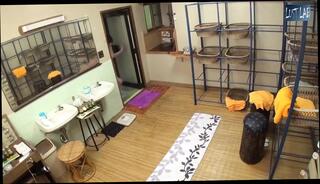 Video 1659336481: hottest fingering jav, jav asian creampie, tits creampie blowjob, big natural tits creampie, creampie blowjob hot, big tits hd jav, japanese blowjob creampie, creampie straight, pool creampie, creampie lusting, petite asian creampie, tit spring