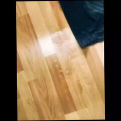 Video 1619907691: squirt cum compilation, squirt cumshot compilation, squirting masturbation compilation, amateur squirting compilation, amateur handjob cumshot compilation, gay handjob cumshot compilation, moaning cum compilation, handjob big cock squirt, huge cocks cumming compilation, squirt cum load, muscle cum compilation, male cum compilation, cum compilation hd, german cumshot compilation, hunk compilation, squirting precum, squirt leak, squirting close, european squirting, muscular gay hunk