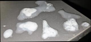 Video 1663276431: twink sissy femboy cum, twink bareback fucked creampied, crossdresser fucked bareback creampie, sissy femboy compilation, gay bareback twink boy, amateur twink couple bareback, barebacked fucking anal creampie, amateur teen sissy crossdresser, bareback twink gay sex, amateur creampie cumshot compilation, big dick twinks bareback, huge cock bareback creampie, cute twinks bareback fucking, sissy femboy masturbate, sissy femboy blowjob, sissy crossdresser homemade, bareback fuck young twink, old sissy crossdresser, creampie compilation hd, twink boy straight gay, hole anal fucked creampied, bareback anal homosexual, glory hole creampie, giant cock bareback, toilet creampie, guy creampie, licking