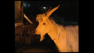 Video 1655048721: karma rosenberg, cunnilingus doggy style, pussy doggy style cum, anal pussy doggy style, vagina doggy style, twat doggy style, cunt doggy style, doggy style nude, doggy style straight, humped doggy style, doggy style mouth, doggy style outdoors, doggy style female, doggy style hd, pussy snatches