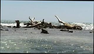 Video 1656152361: interracial doctors, black cock slut interracial, black slut interracial blowjob, black cock interracial anal, black cock interracial ass, interracial big cock anal, slut interracial black white, interracial anal outdoors, doctor straight, doctor stories, interracial african, pool interracial, interracial hd, sluts swimming, afro slut