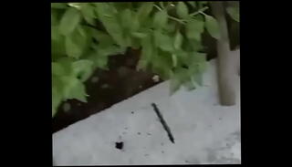 Video 1616932105: women outdoor, brunette women